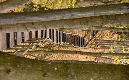 26_Žiegždriū atodanga (2).jpg